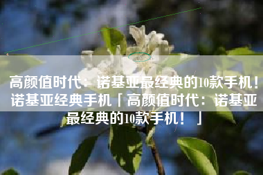 高颜值时代：诺基亚最经典的10款手机！诺基亚经典手机「高颜值时代：诺基亚最经典的10款手机！」