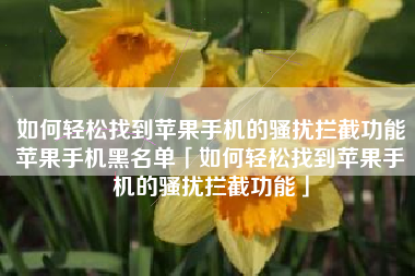 如何轻松找到苹果手机的骚扰拦截功能苹果手机黑名单「如何轻松找到苹果手机的骚扰拦截功能」