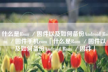 什么是Rom ／固件以及如何备份Android Rom ／固件手机rom「什么是Rom ／固件以及如何备份Android Rom ／固件」