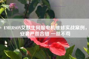 EMERSON艾默生伺服电机维修实战案例，安装严丝合缝 一丝不苟