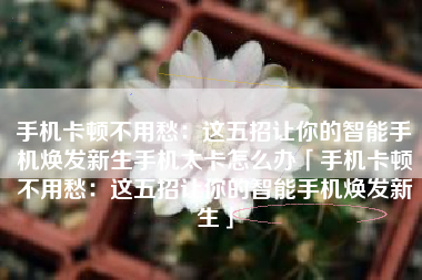 手机卡顿不用愁：这五招让你的智能手机焕发新生手机太卡怎么办「手机卡顿不用愁：这五招让你的智能手机焕发新生」