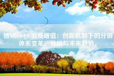 链动3+1+消费增值：创新机制下的分销体系变革、升级与未来趋势。