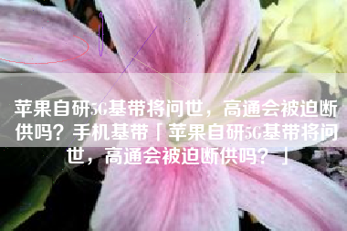 苹果自研5G基带将问世，高通会被迫断供吗？手机基带「苹果自研5G基带将问世，高通会被迫断供吗？」