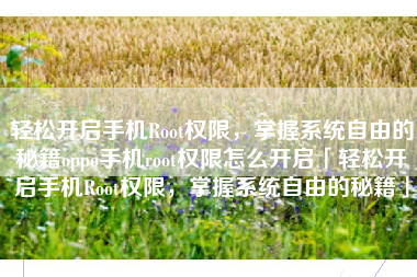轻松开启手机Root权限，掌握系统自由的秘籍oppo手机root权限怎么开启「轻松开启手机Root权限，掌握系统自由的秘籍」
