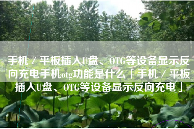 手机／平板插入U盘、OTG等设备显示反向充电手机otg功能是什么「手机／平板插入U盘、OTG等设备显示反向充电」
