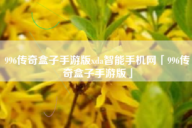 996传奇盒子手游版xda智能手机网「996传奇盒子手游版」