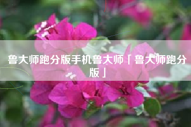 鲁大师跑分版手机鲁大师「鲁大师跑分版」