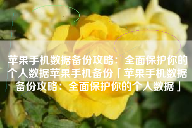 苹果手机数据备份攻略：全面保护你的个人数据苹果手机备份「苹果手机数据备份攻略：全面保护你的个人数据」