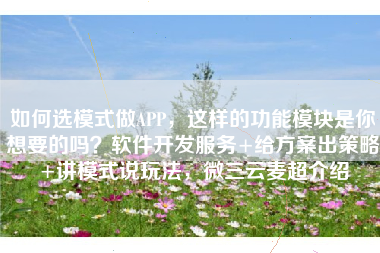 如何选模式做APP，这样的功能模块是你想要的吗？软件开发服务+给方案出策略+讲模式说玩法，微三云麦超介绍