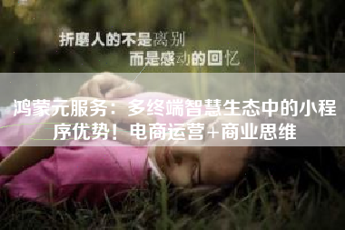 鸿蒙元服务：多终端智慧生态中的小程序优势！电商运营+商业思维