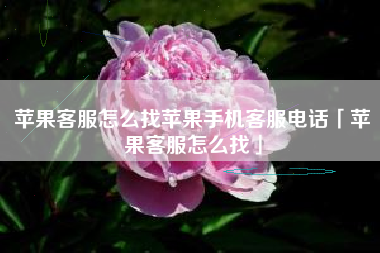苹果客服怎么找苹果手机客服电话「苹果客服怎么找」