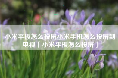小米平板怎么投屏小米手机怎么投屏到电视「小米平板怎么投屏」