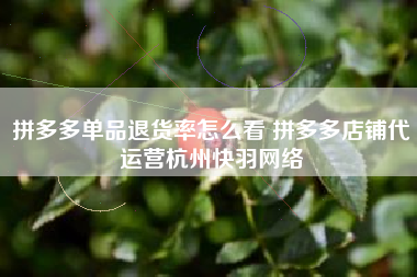 拼多多单品退货率怎么看 拼多多店铺代运营杭州快羽网络