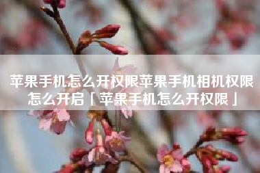 苹果手机怎么开权限苹果手机相机权限怎么开启「苹果手机怎么开权限」