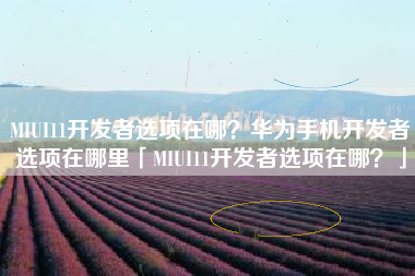 MIUI11开发者选项在哪？华为手机开发者选项在哪里「MIUI11开发者选项在哪？」