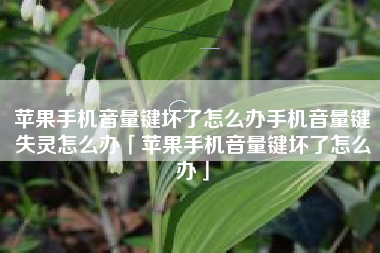苹果手机音量键坏了怎么办手机音量键失灵怎么办「苹果手机音量键坏了怎么办」