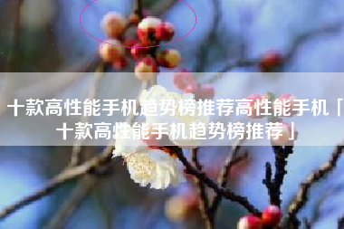 十款高性能手机趋势榜推荐高性能手机「十款高性能手机趋势榜推荐」