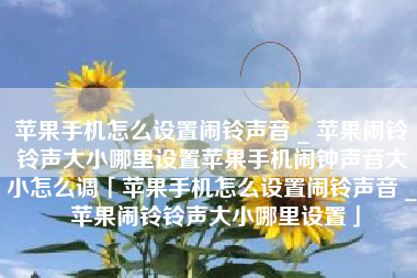 苹果手机怎么设置闹铃声音 _ 苹果闹铃铃声大小哪里设置苹果手机闹钟声音大小怎么调「苹果手机怎么设置闹铃声音 _ 苹果闹铃铃声大小哪里设置」