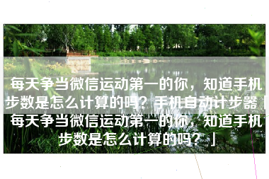 每天争当微信运动第一的你，知道手机步数是怎么计算的吗？手机自动计步器「每天争当微信运动第一的你，知道手机步数是怎么计算的吗？」