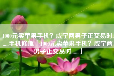 1000元卖苹果手机？咸宁两男子正交易时......手机修理「1000元卖苹果手机？咸宁两男子正交易时......」