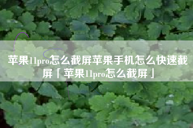 苹果11pro怎么截屏苹果手机怎么快速截屏「苹果11pro怎么截屏」