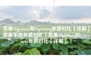 苹果12promax和11promax参数对比【详解】苹果手机参数对比「苹果12promax和11promax参数对比【详解】」
