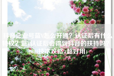 抖音企业号蓝V怎么开通？认证后有什么特权？蓝V认证后会得到抖音的扶持吗？ 2024技术攻略!(超好用)