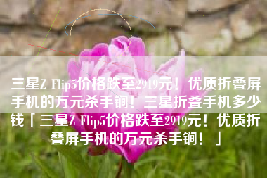 三星Z Flip5价格跌至2919元！优质折叠屏手机的万元杀手锏！三星折叠手机多少钱「三星Z Flip5价格跌至2919元！优质折叠屏手机的万元杀手锏！」