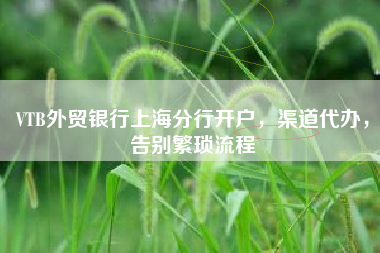 VTB外贸银行上海分行开户，渠道代办，告别繁琐流程