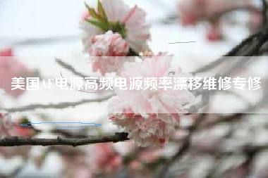 美国AE电源高频电源频率漂移维修专修