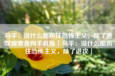 马平：没什么能防住恐怖主义，除了进攻观察者网手机版「马平：没什么能防住恐怖主义，除了进攻」