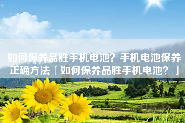 如何保养品胜手机电池？手机电池保养正确方法「如何保养品胜手机电池？」