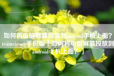 如何将电脑屏幕投放到android手机上面?teamviewer手机版「如何将电脑屏幕投放到android手机上面?」 如何将电脑屏幕投放到android手机上面?teamviewer手机版「如何将电脑屏幕投放到android手机上面?」
