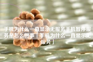 手机为什么一直显示无服务手机暂停服务是怎么回事「手机为什么一直显示无服务」