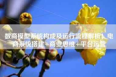 数商模型系统构成及运行流程解析！电商系统搭建+商业思维+平台运营