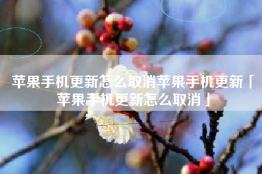 苹果手机更新怎么取消苹果手机更新「苹果手机更新怎么取消」