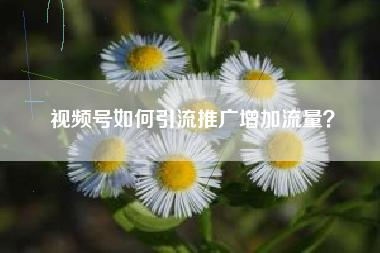 视频号如何引流推广增加流量？