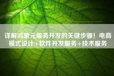 详解鸿蒙元服务开发的关键步骤！电商模式设计+软件开发服务+技术服务