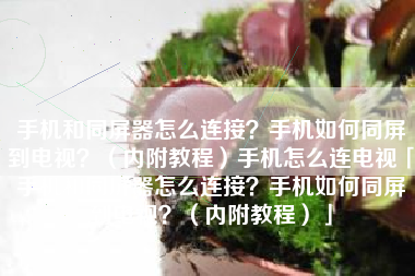 手机和同屏器怎么连接？手机如何同屏到电视？（内附教程）手机怎么连电视「手机和同屏器怎么连接？手机如何同屏到电视？（内附教程）」