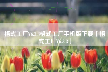 格式工厂V6.3.3格式工厂手机版下载「格式工厂V6.3.3」