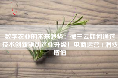 数字农业的未来趋势：微三云如何通过技术创新驱动产业升级！电商运营+消费增值