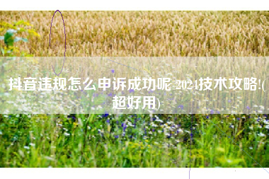 抖音违规怎么申诉成功呢 2024技术攻略!(超好用)