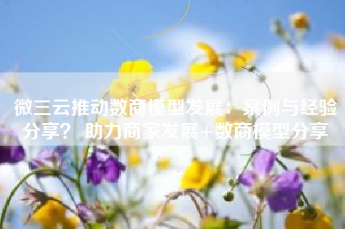 微三云推动数商模型发展：案例与经验分享？ 助力商家发展+数商模型分享