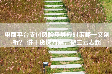 电商平台支付风险及其应对策略一文剖析？ 讲干货说方案，微三云麦超