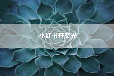 小红书开聚光