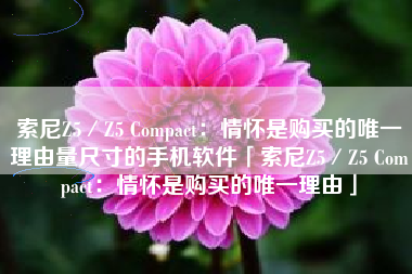 索尼Z5／Z5 Compact：情怀是购买的唯一理由量尺寸的手机软件「索尼Z5／Z5 Compact：情怀是购买的唯一理由」
