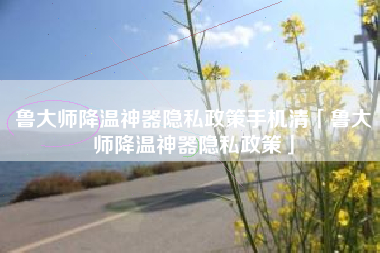 鲁大师降温神器隐私政策手机清「鲁大师降温神器隐私政策」