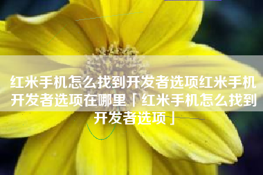 红米手机怎么找到开发者选项红米手机开发者选项在哪里「红米手机怎么找到开发者选项」