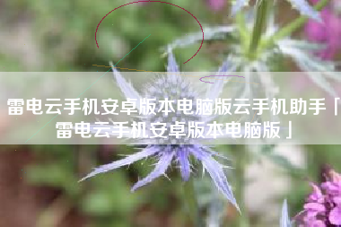 雷电云手机安卓版本电脑版云手机助手「雷电云手机安卓版本电脑版」