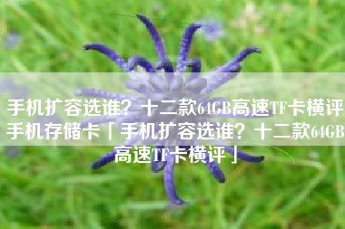 手机扩容选谁？十二款64GB高速TF卡横评手机存储卡「手机扩容选谁？十二款64GB高速TF卡横评」